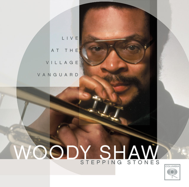 Stepping Stones: Live at the Village Vanguard cover art
