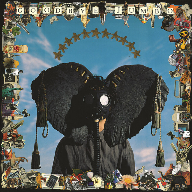 Goodbye Jumbo cover art