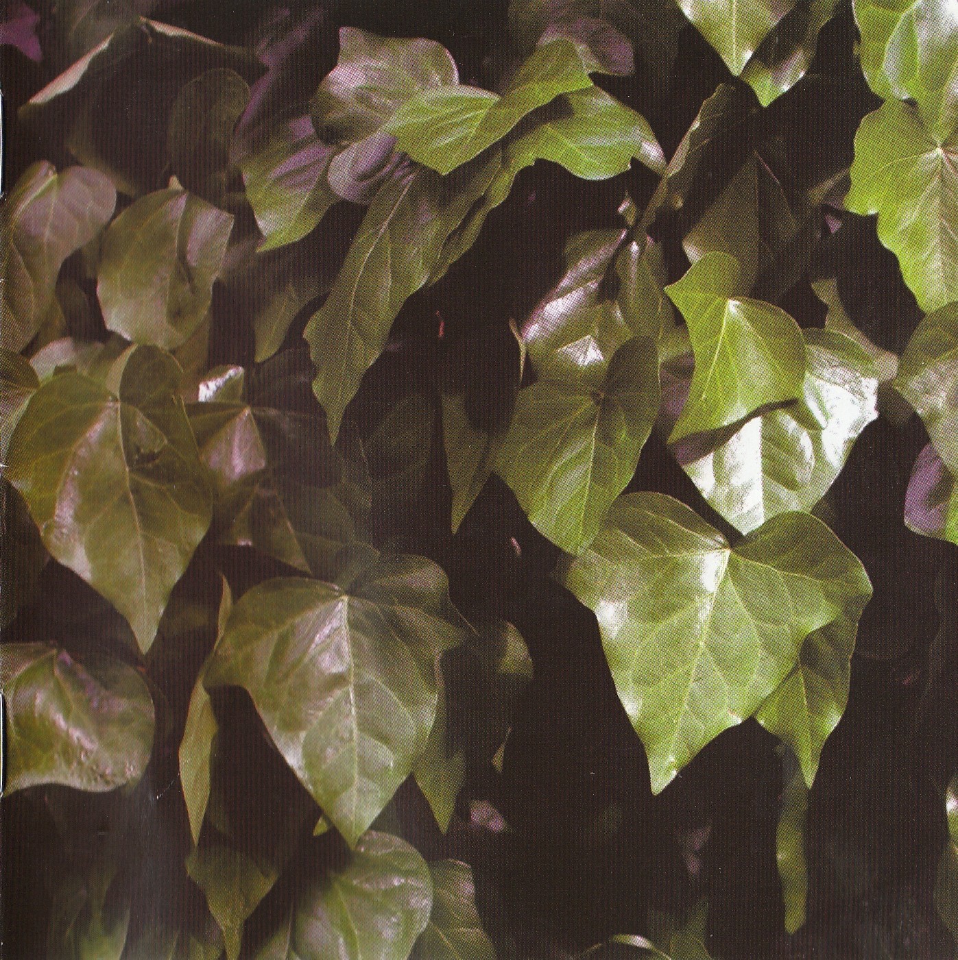 La forêt cover art