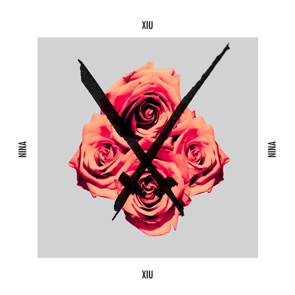 Nina cover art