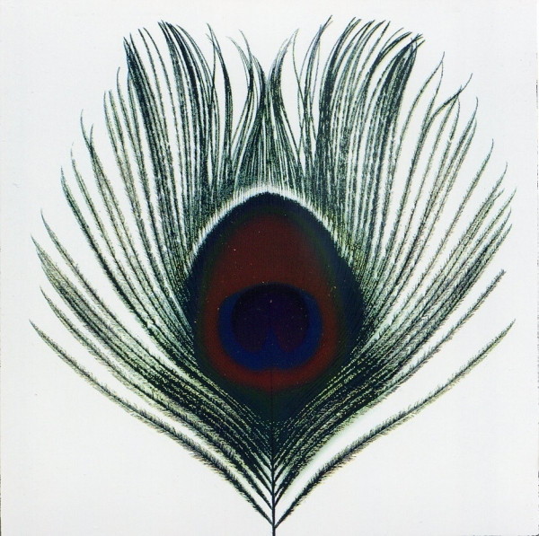 Apple Venus Volume 1 cover art