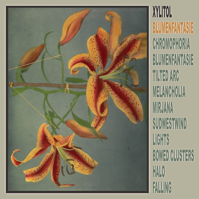 Blumenfantasie cover art