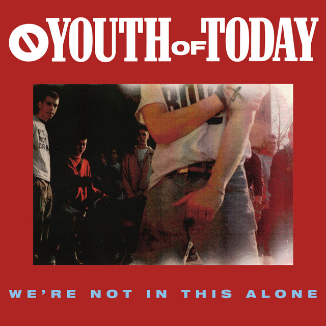We're Not in This Alone cover art