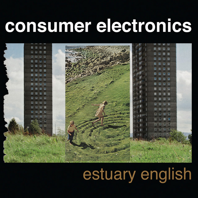 Consumer Electronics