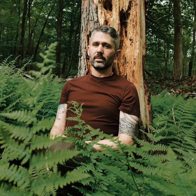 The Antlers