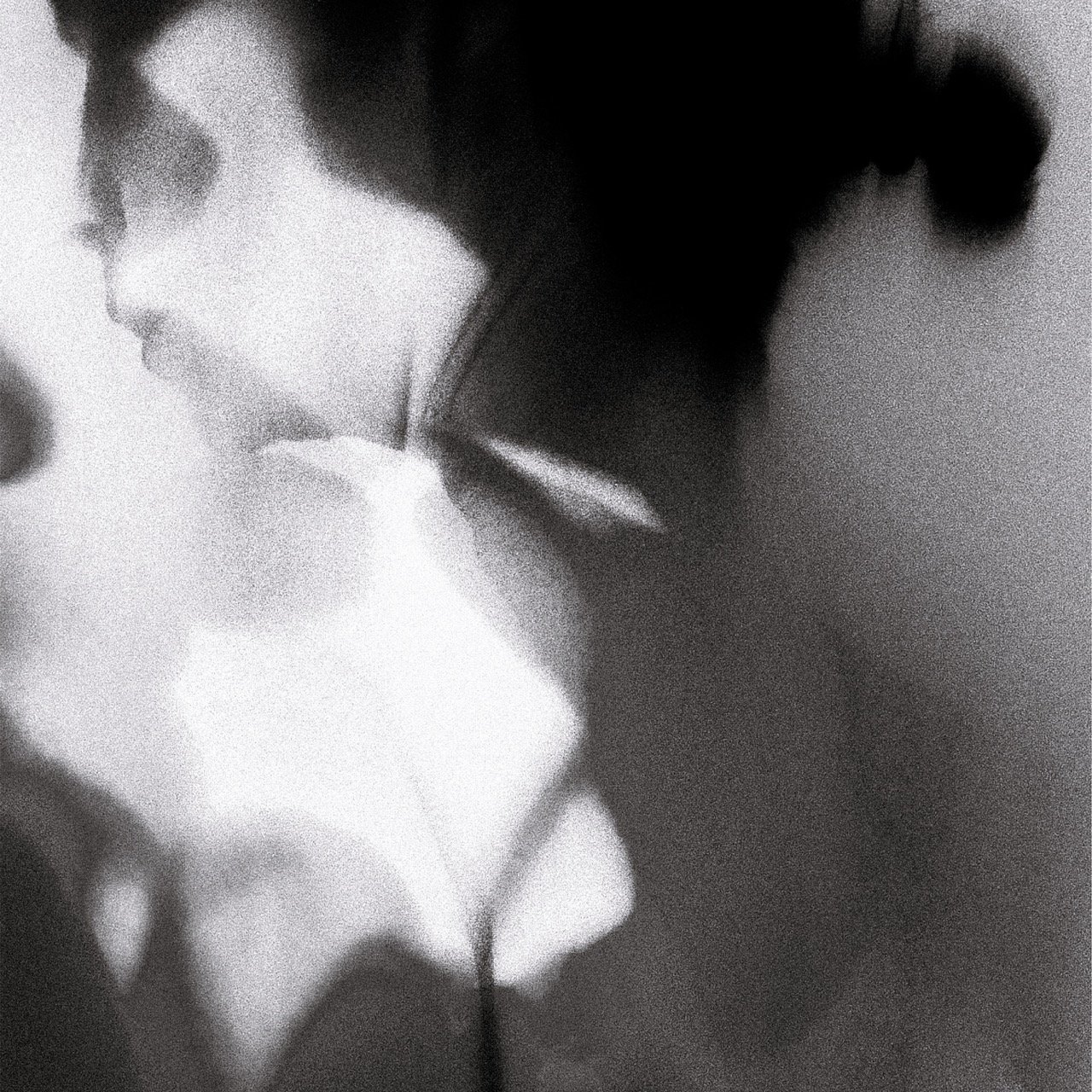 A Light So Dim cover art
