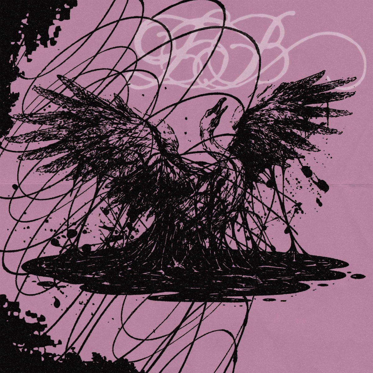 Mistake Them for Flying Swans cover art