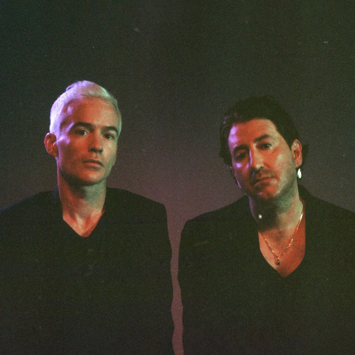 The Avalanches