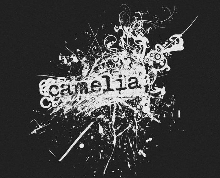 Camelia