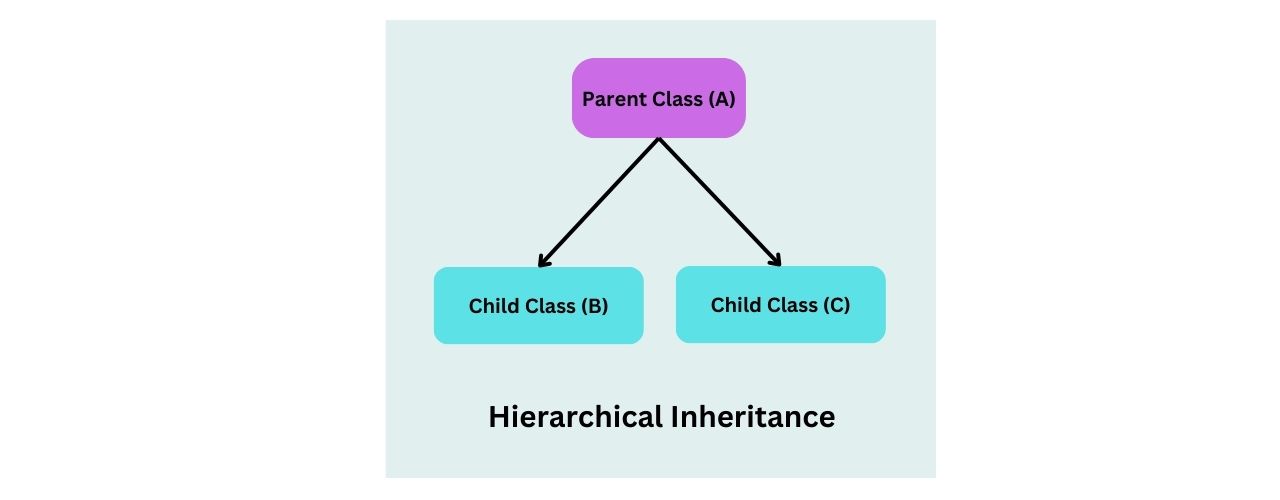  Hierarchical Inheritance