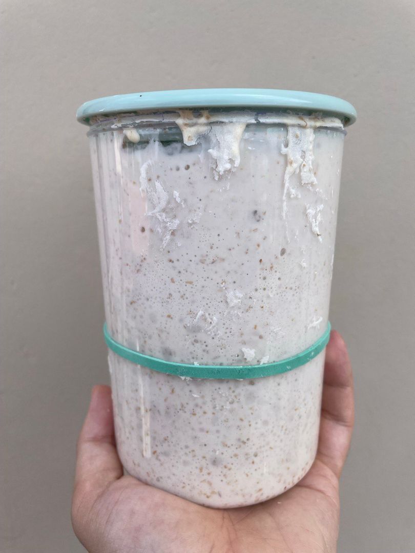 How to Make Licoli from Scratch: A Complete Guide to Liquid Sourdough Starter