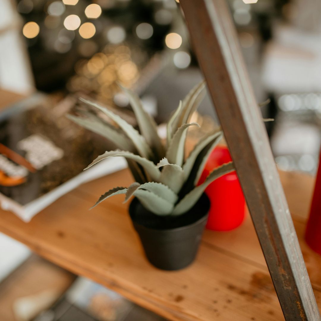 Breathe Clean Air at Home: Practical Tips for a Healthy Environment
