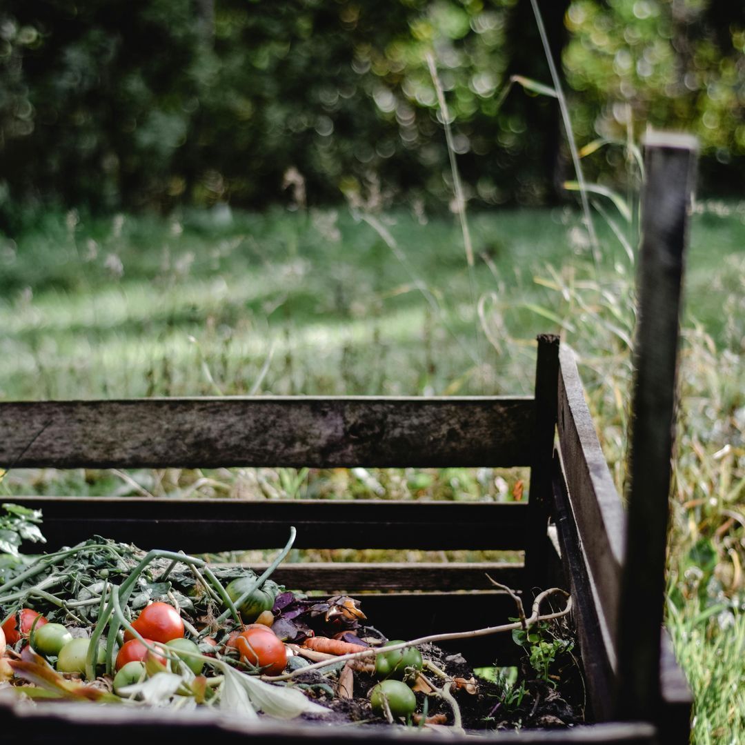 Home Composting: Turn Waste Into Green Gold