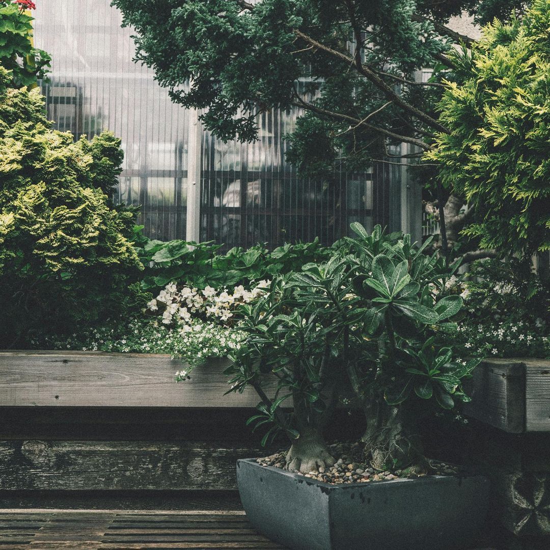 Transforming Abandoned Spaces into Community Gardens: A Green Future for Our Cities