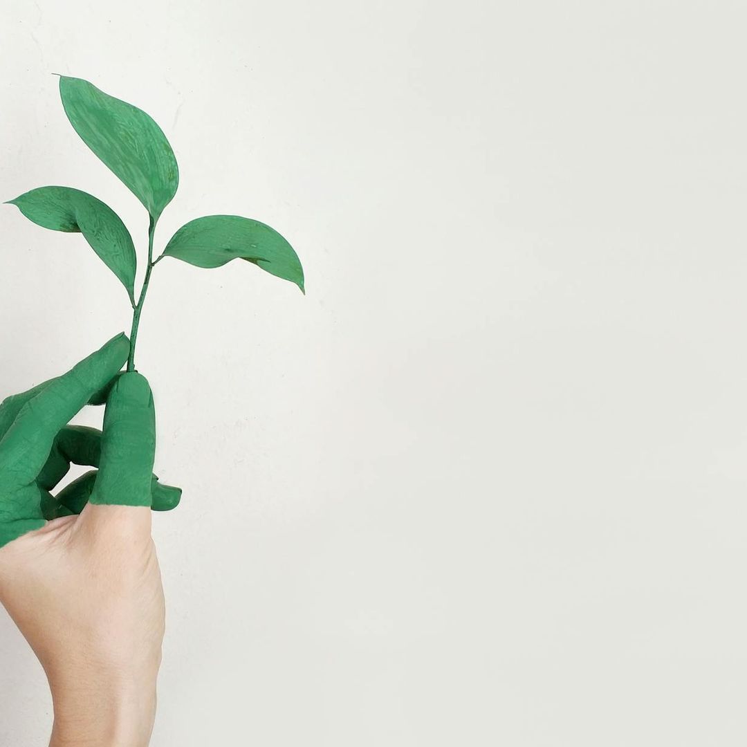 Catering and Sustainability: New Business Models