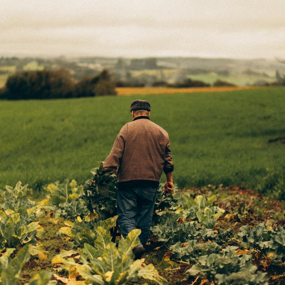 Preparare l’Orto per l’Inverno