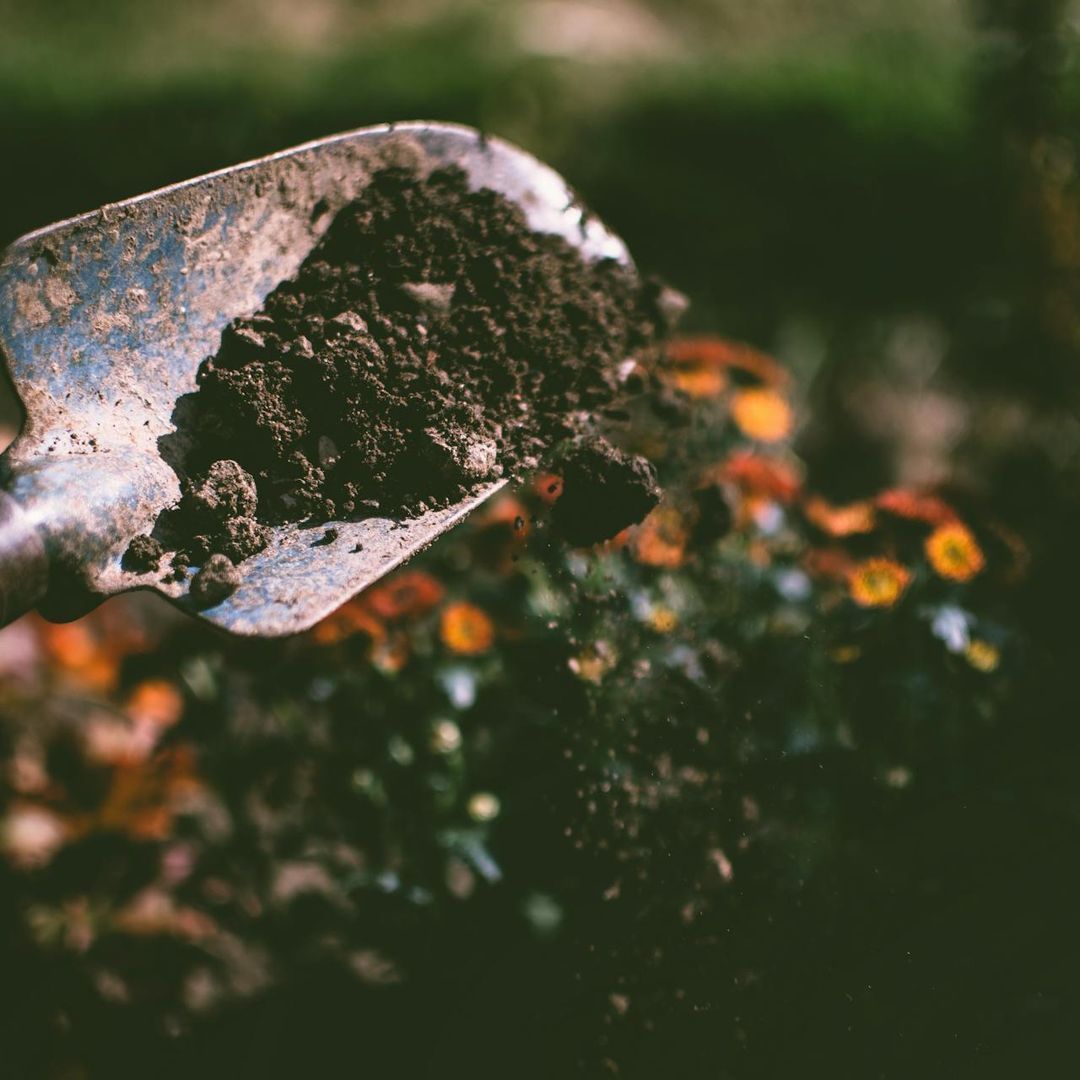 Cultivating values through gardening