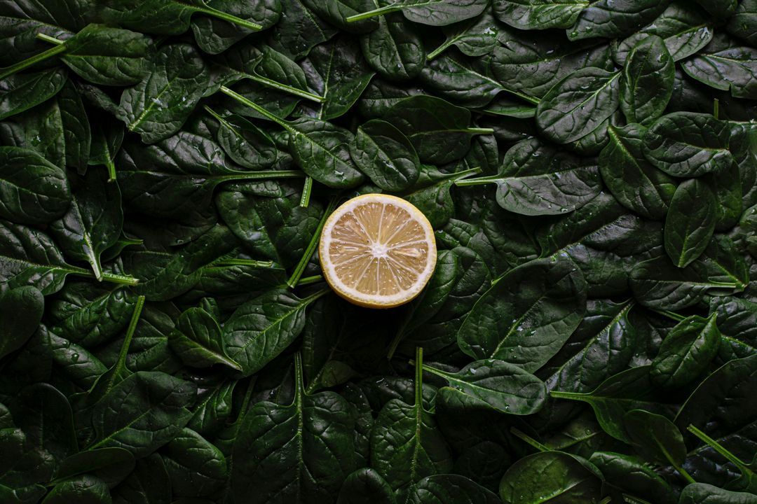 Spinach: the green gold that nourishes body and mind