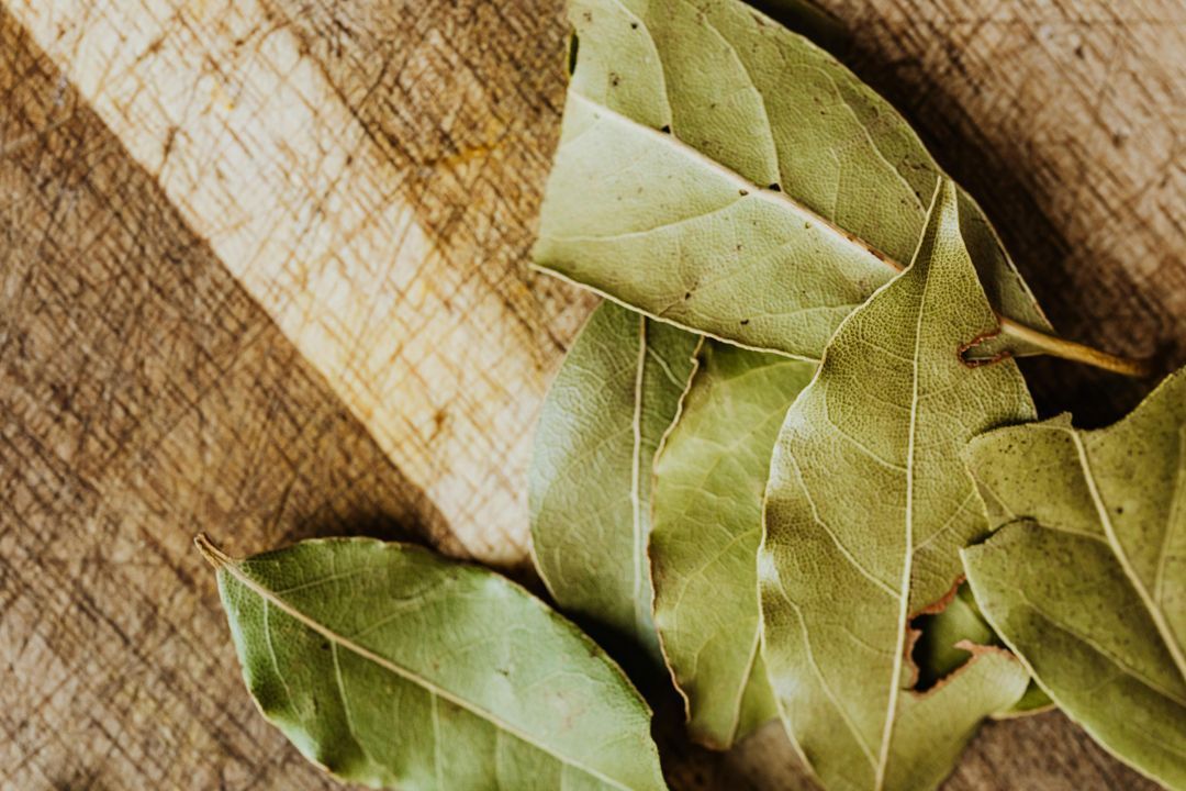 Laurel: the scent of history and health benefits