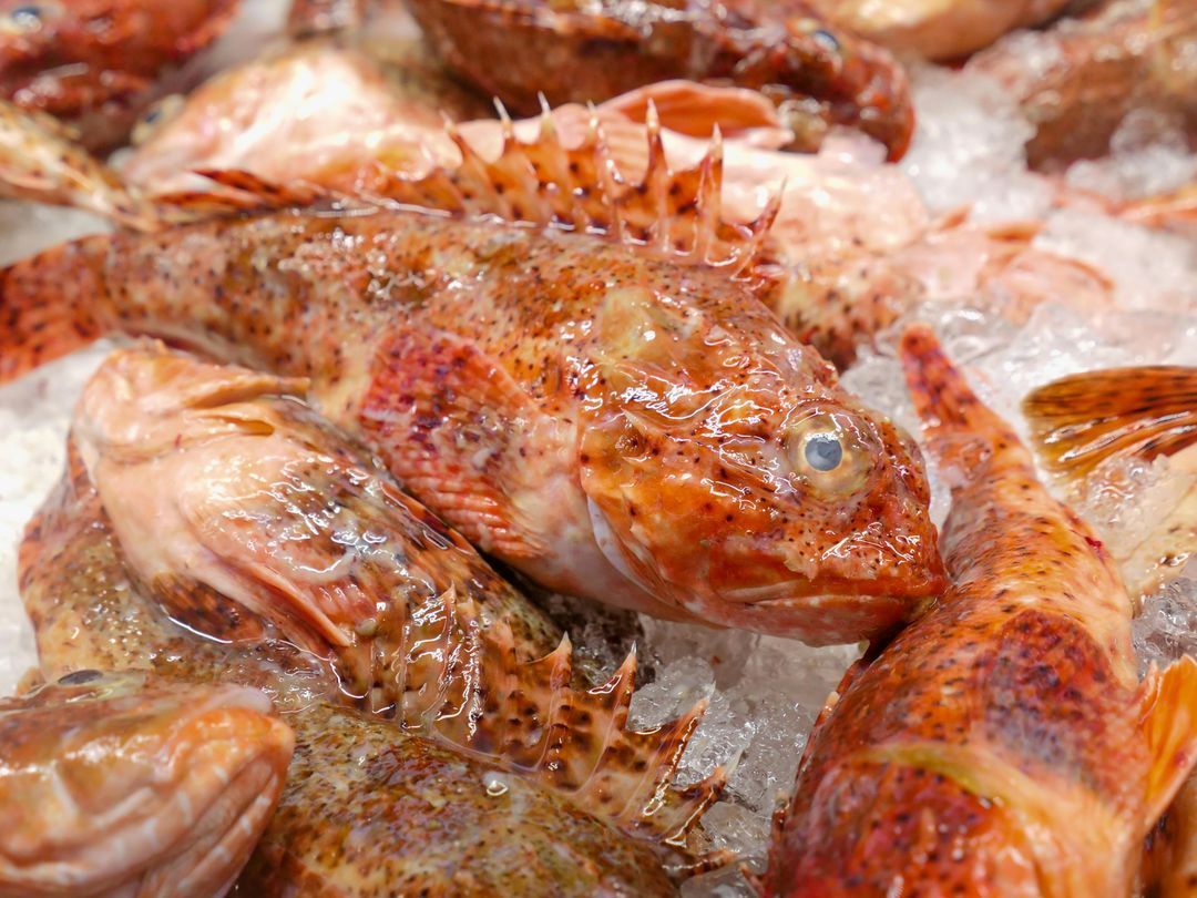 Pesce fresco: come riconoscerlo e quando è meglio evitare certi prodotti