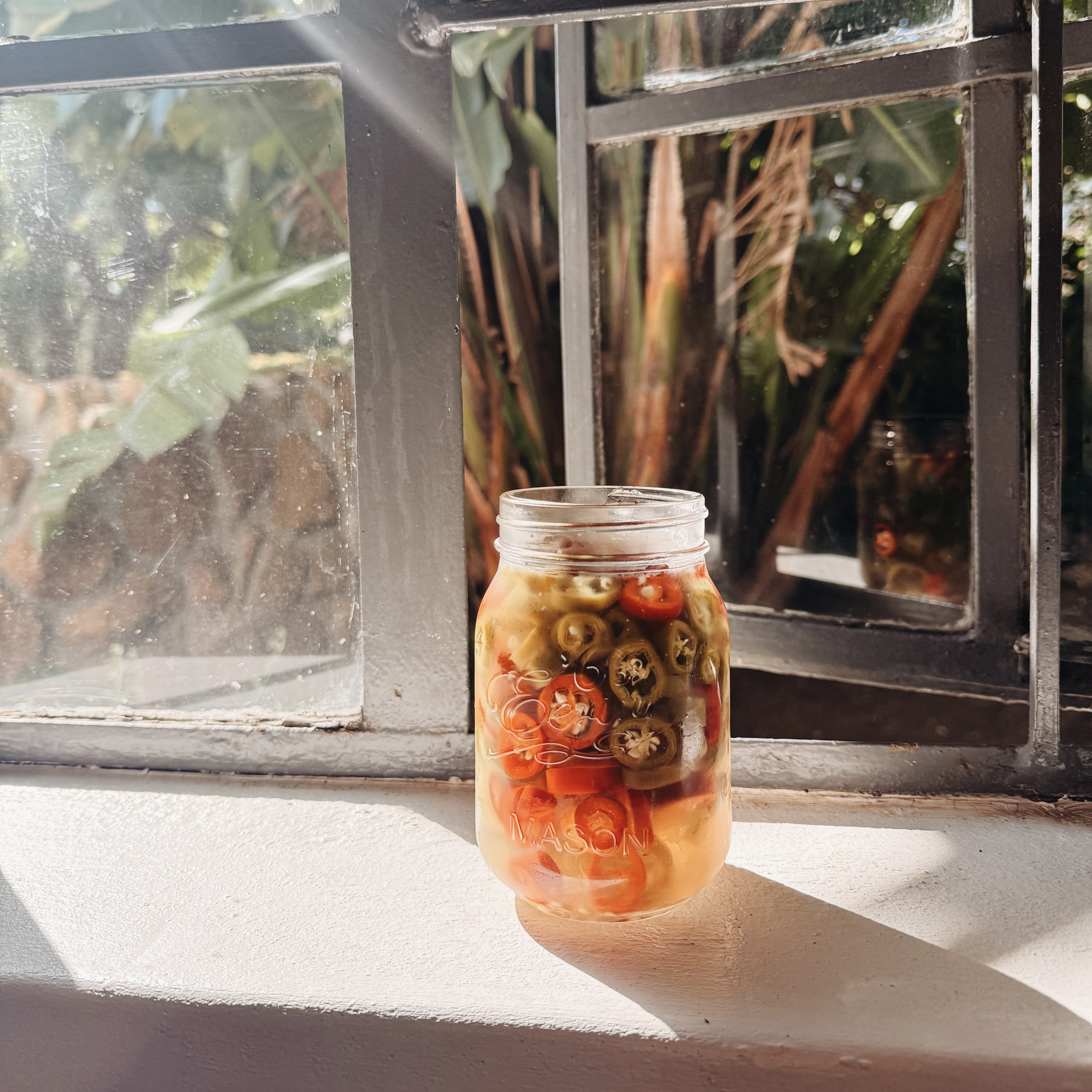 Pickled Jalapeños