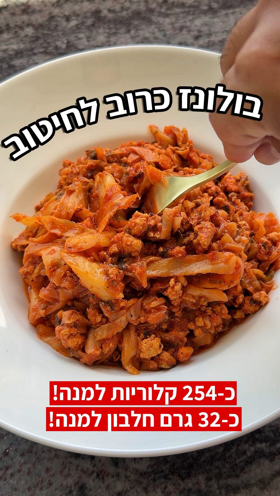 בולונז כרוב עם עוף טחון