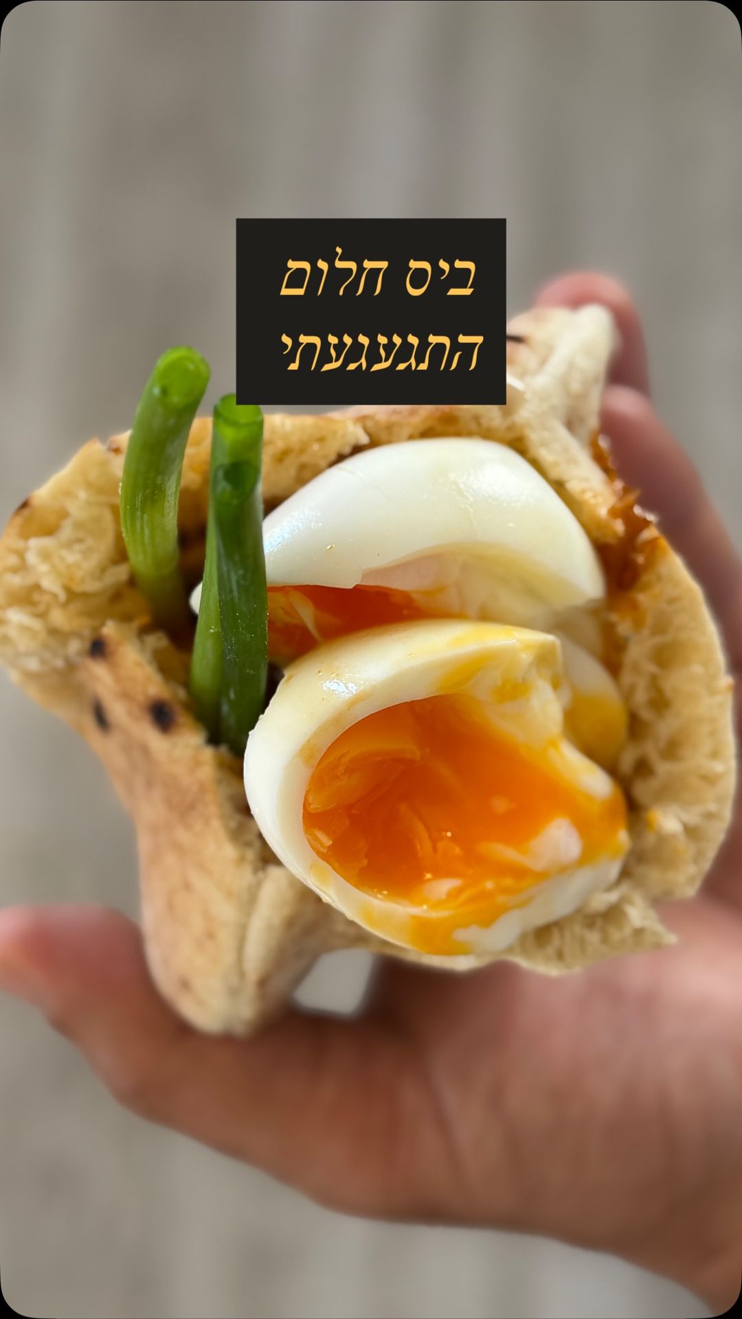 פיתה קבב ביס חלום