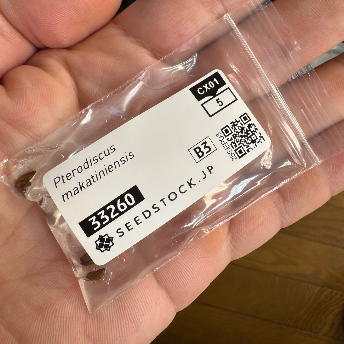 播種準備 の画像