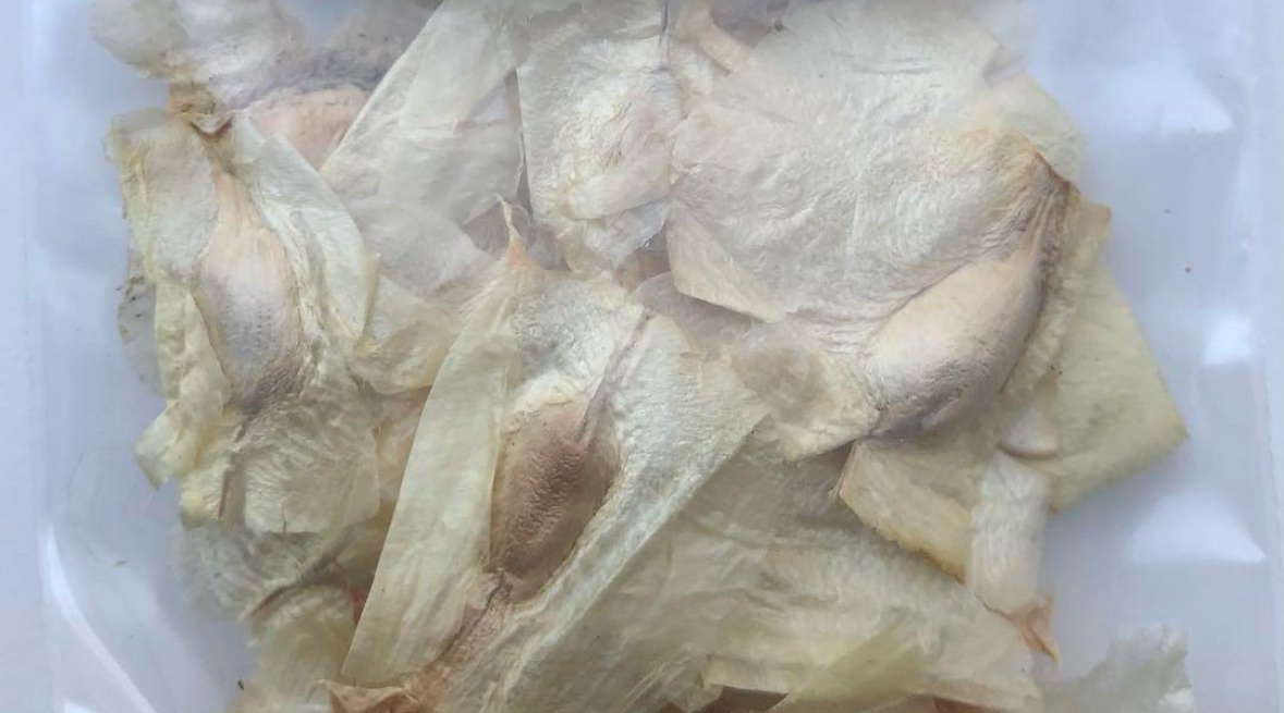 特徴的な羽付き種子！ の画像