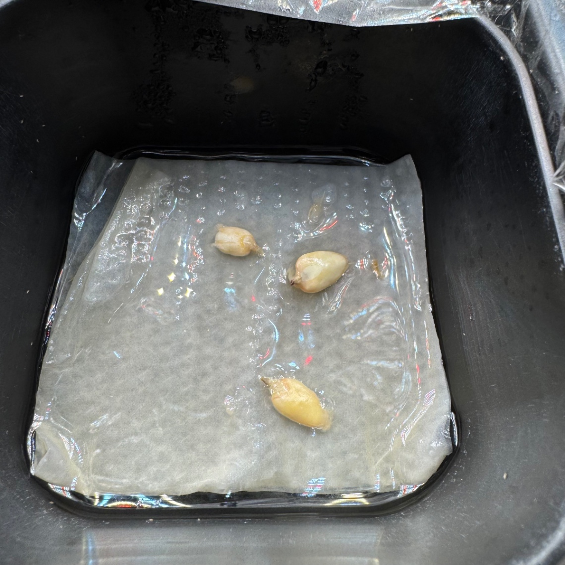 中身を取り出し播種！ の画像