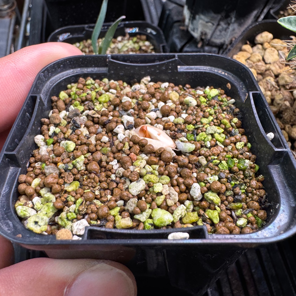 こんにちは！ の画像