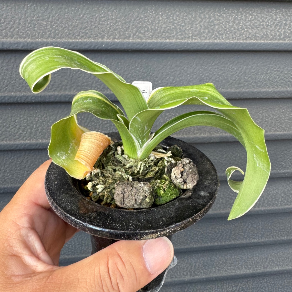 調子悪い、、 の画像