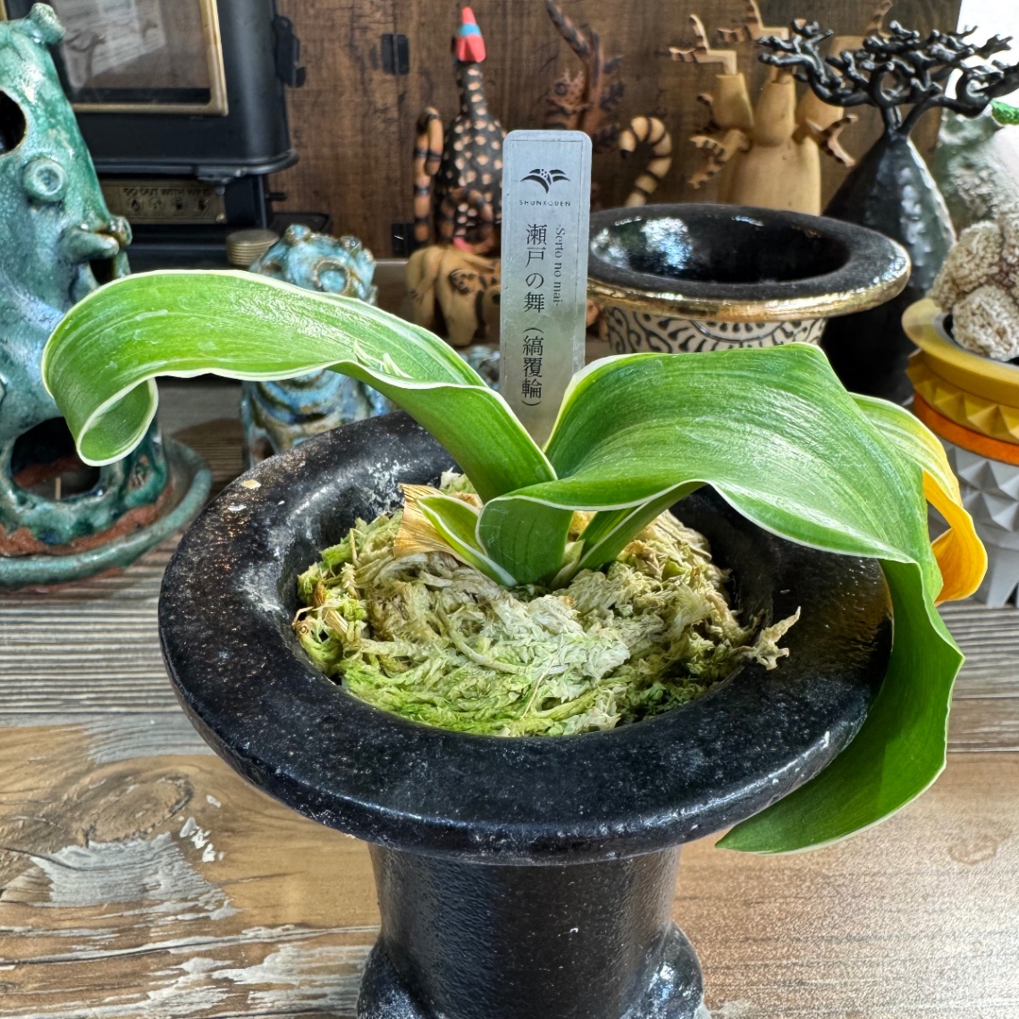 あれから、、 の画像