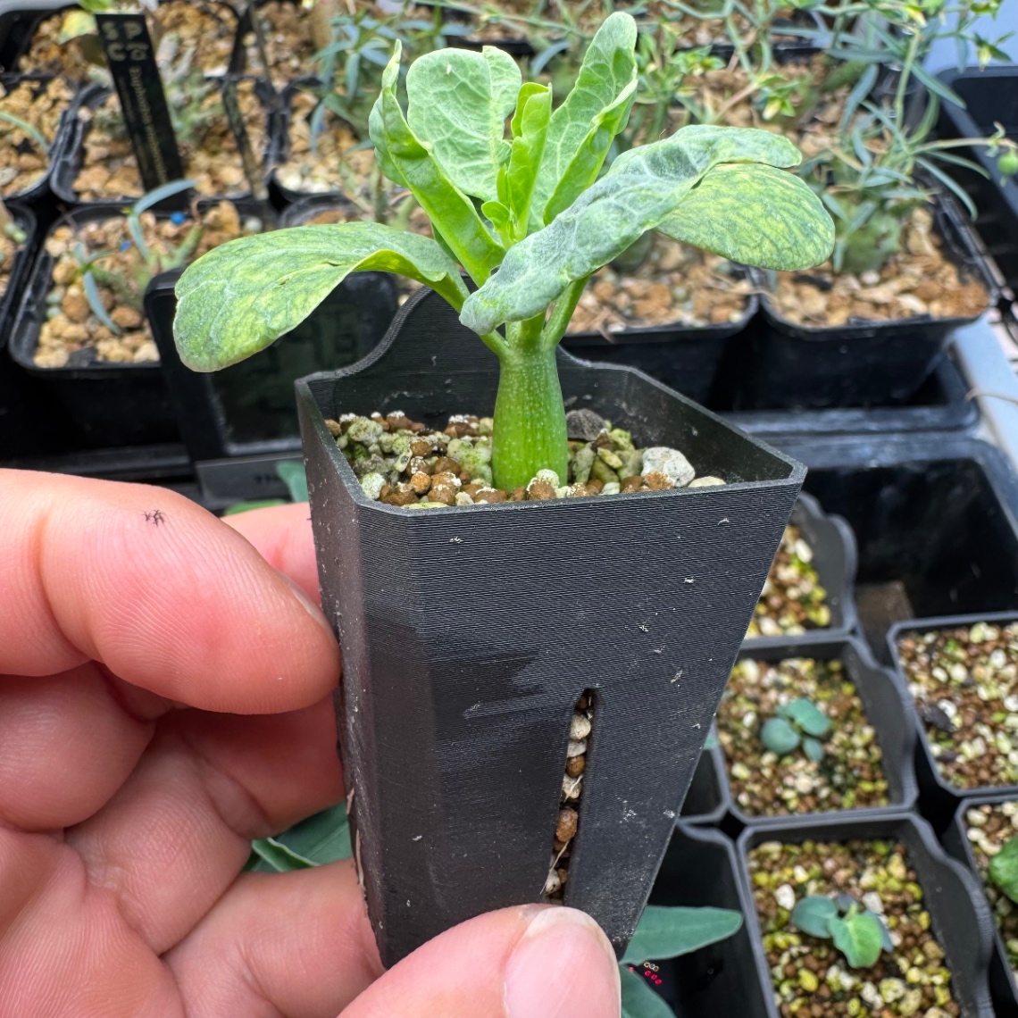 いい感じ！ の画像