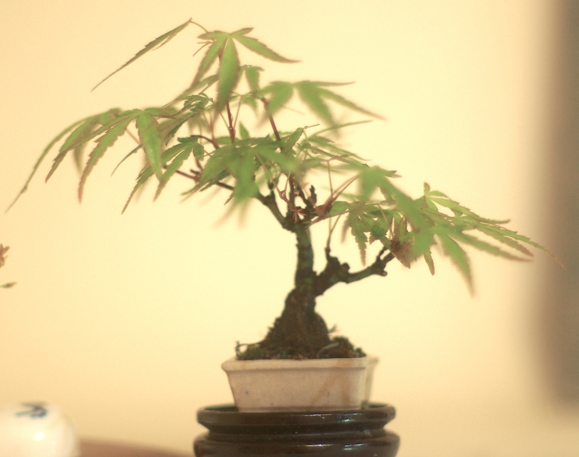 カセット＃１ の画像