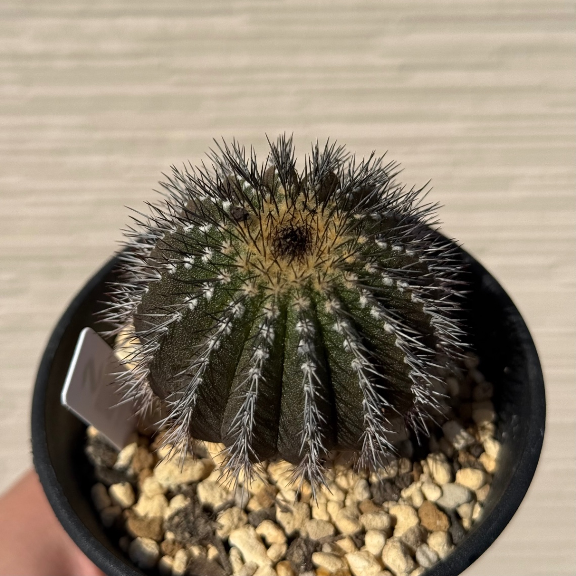 2026/01/11 の画像