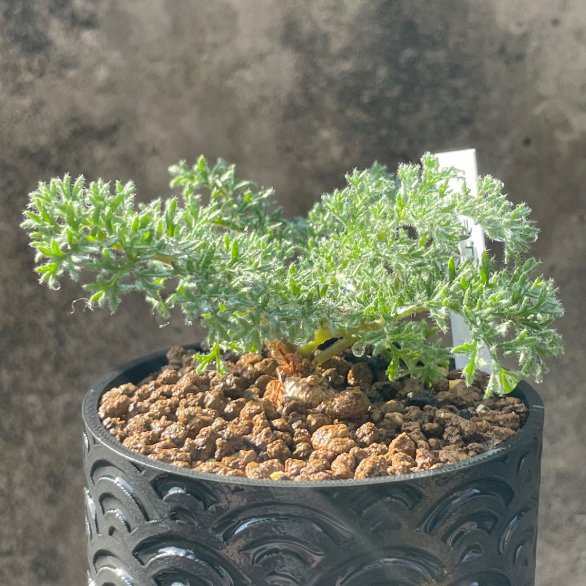 2024/04/14 の画像