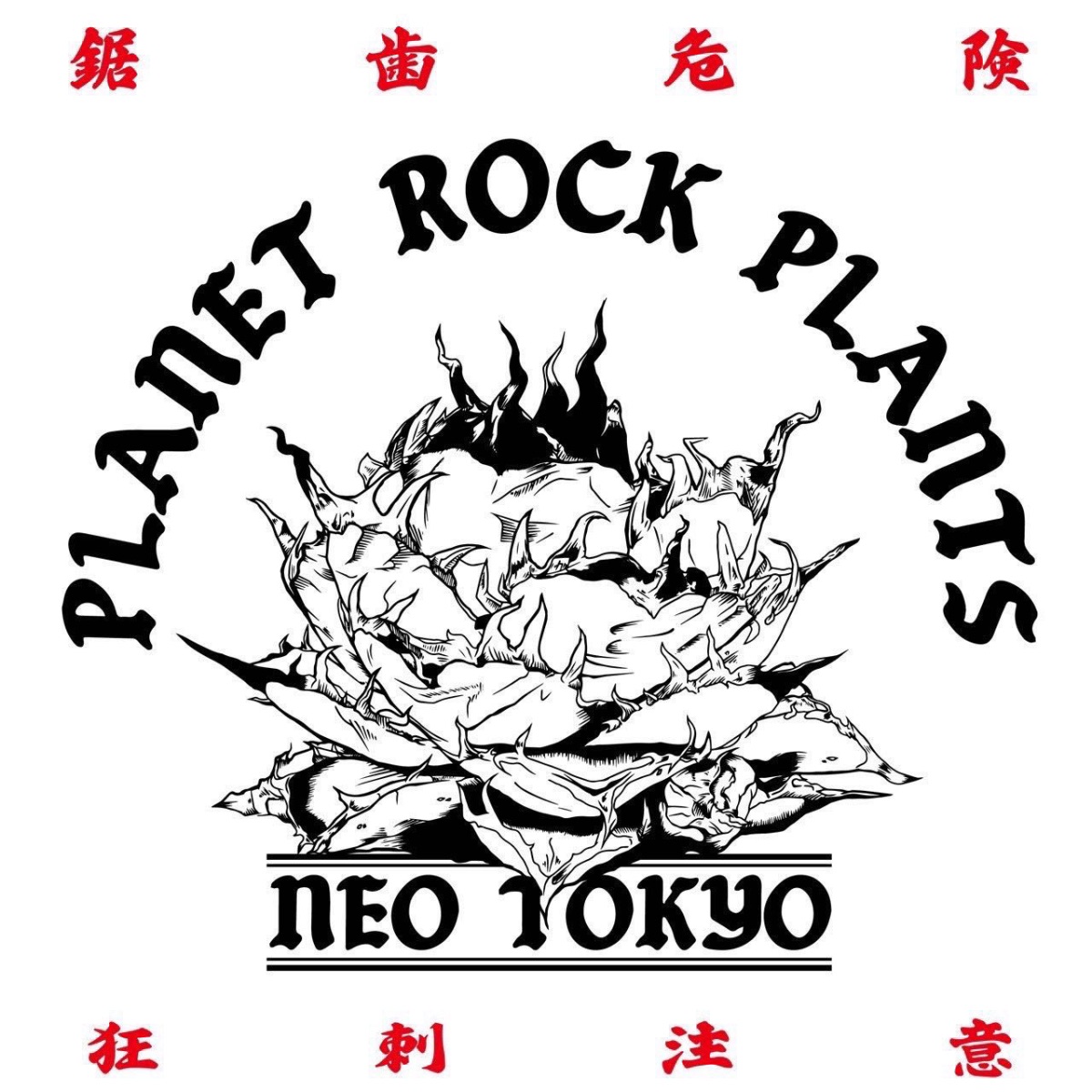 PLANET ROCK PLANTS の画像