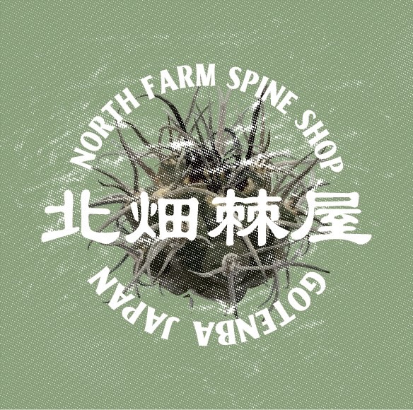 北畑棘屋 の画像