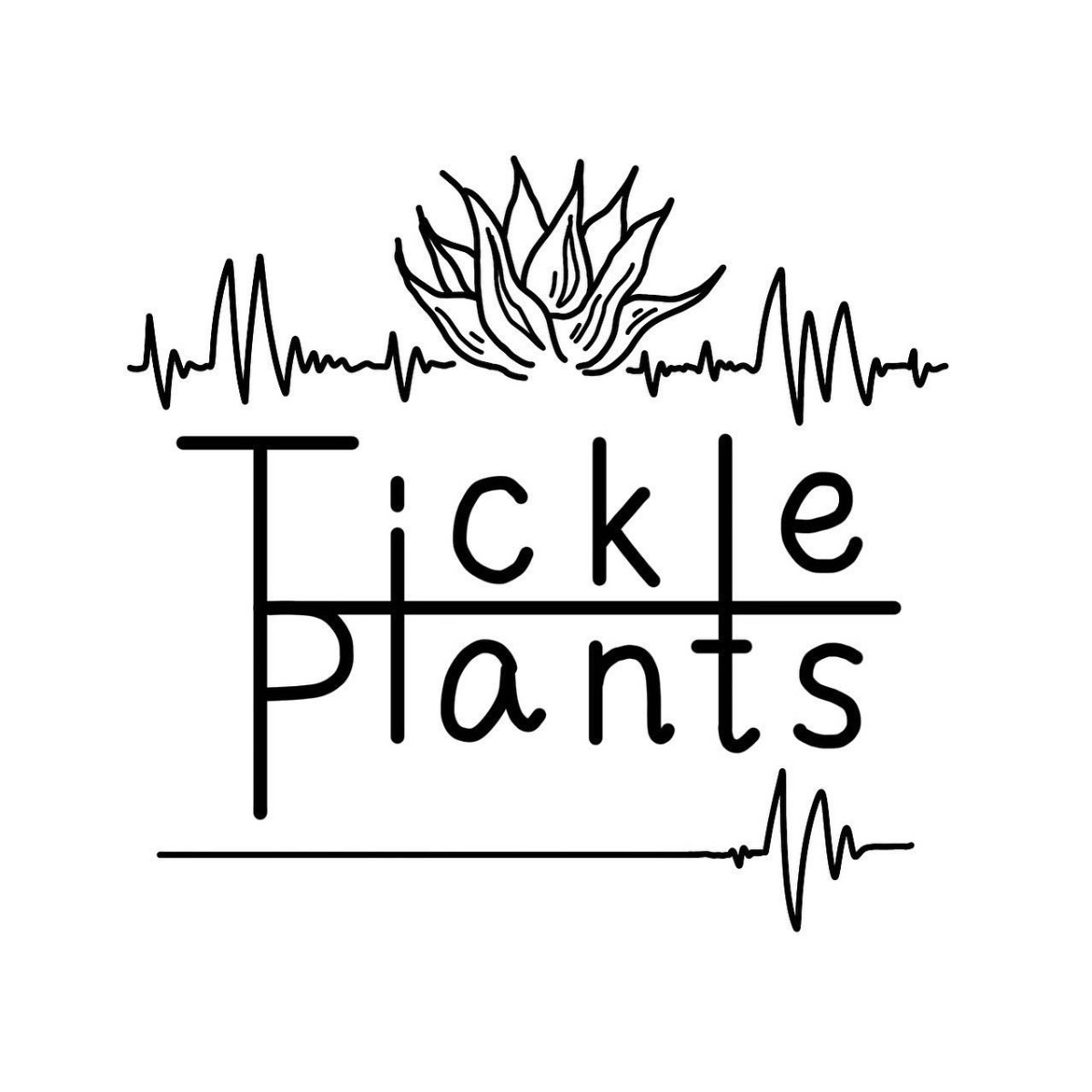 Tickle Plants の画像