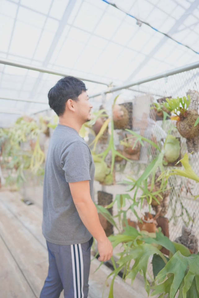 横浜植物農園ライボタボタライ の画像