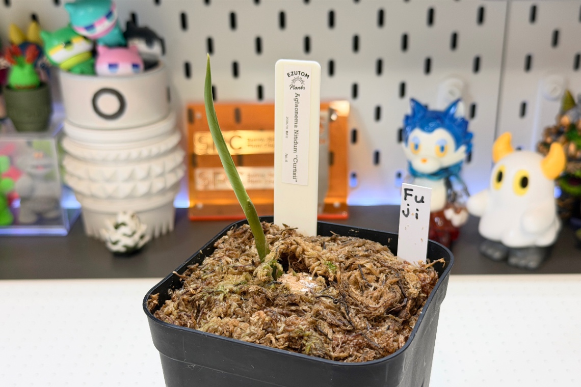 株の譲渡 の画像