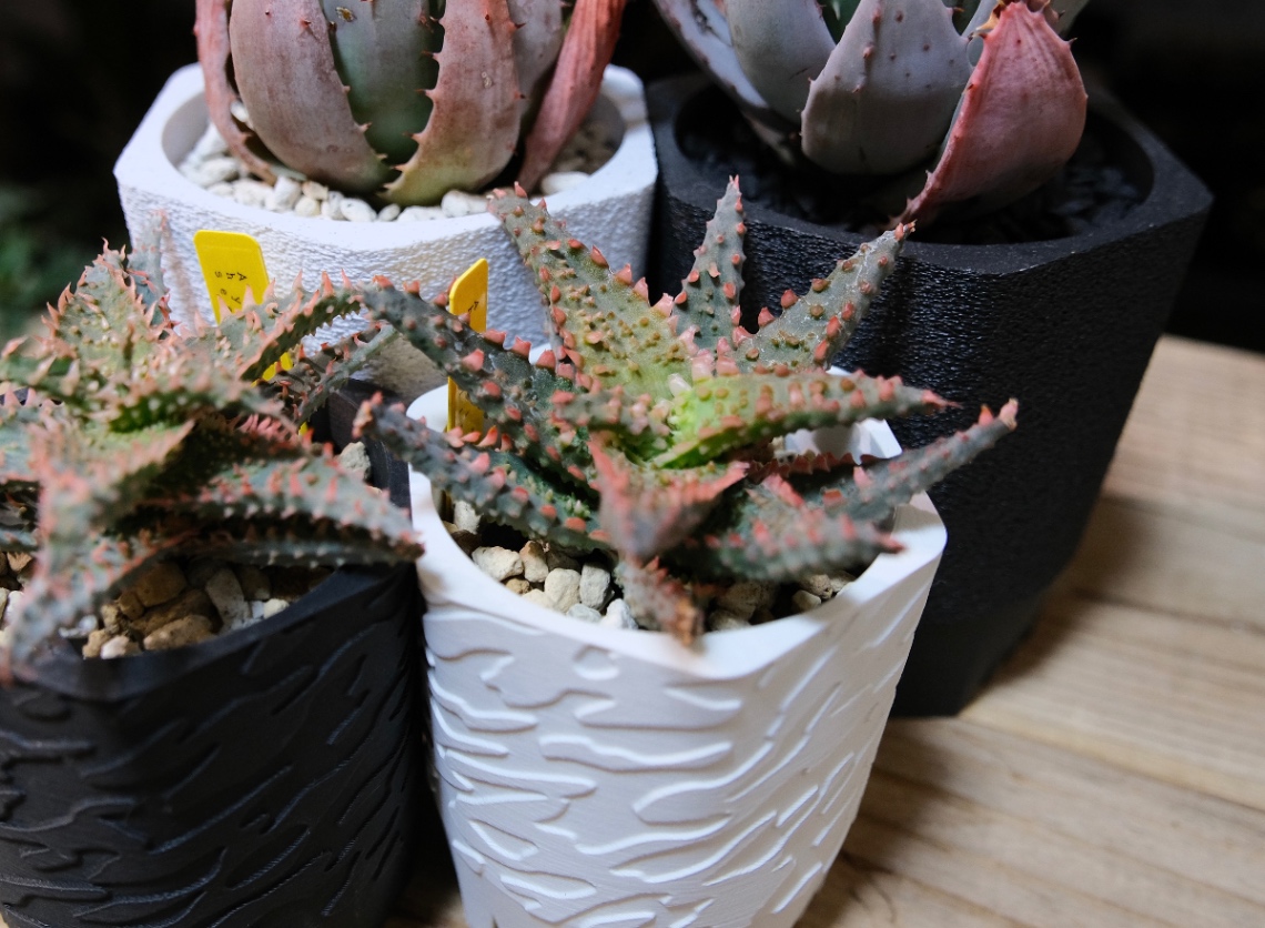 植え替え の画像