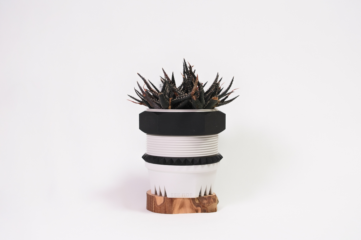 Aloe Hyb. D.W22 × SSN MOD75mm の画像