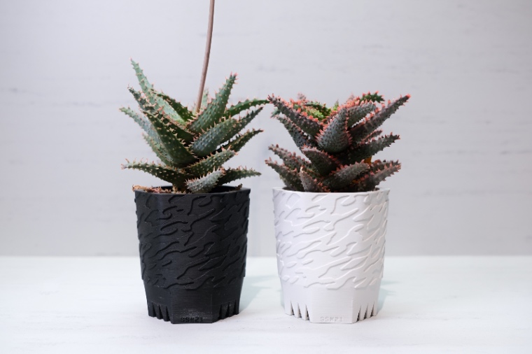 Aloe Hyb. × SSN21 Black / White の画像