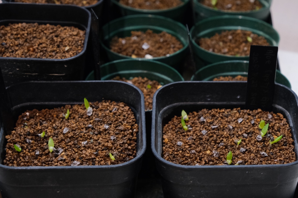 2025/08/30 の画像