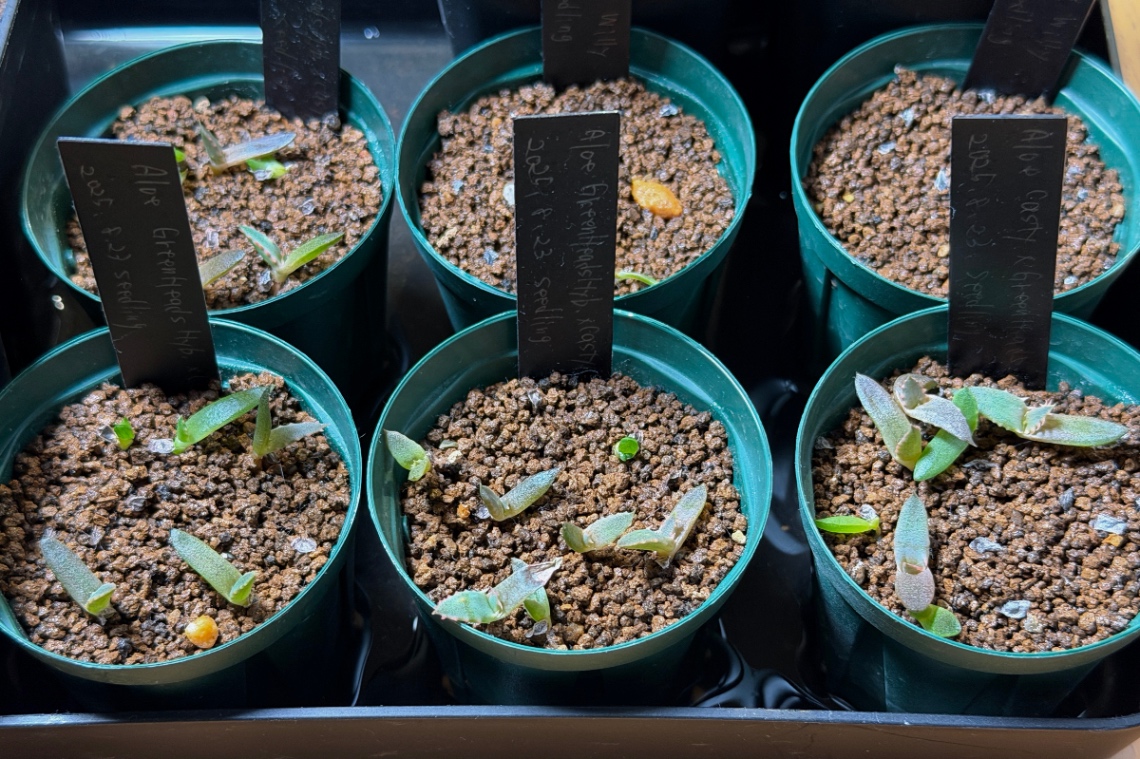 2025/10/10① の画像