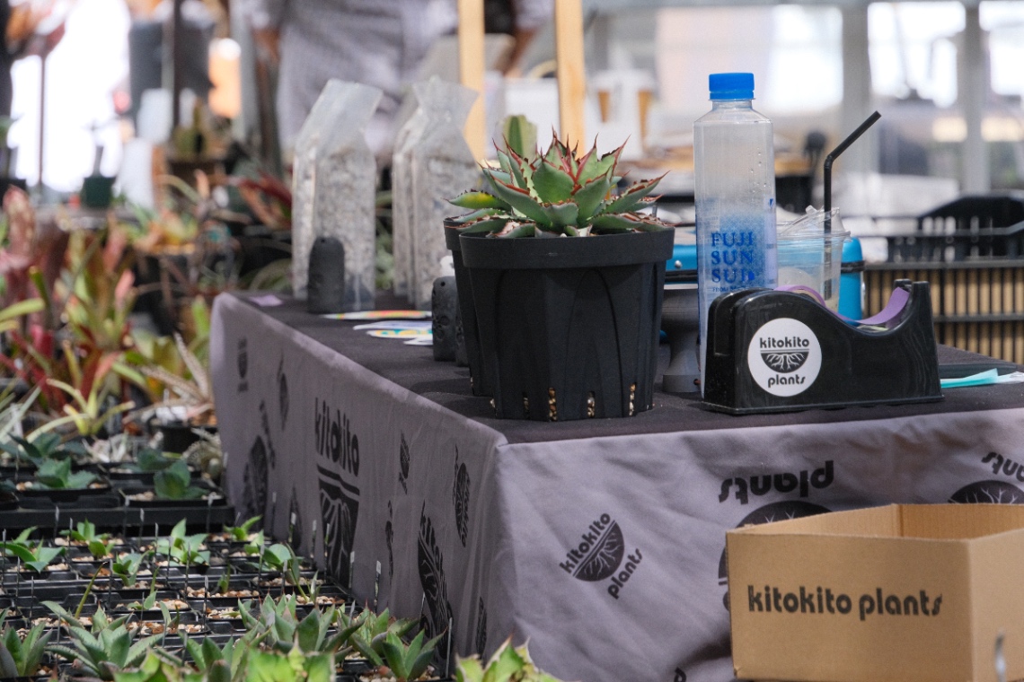 kitokito plants の画像
