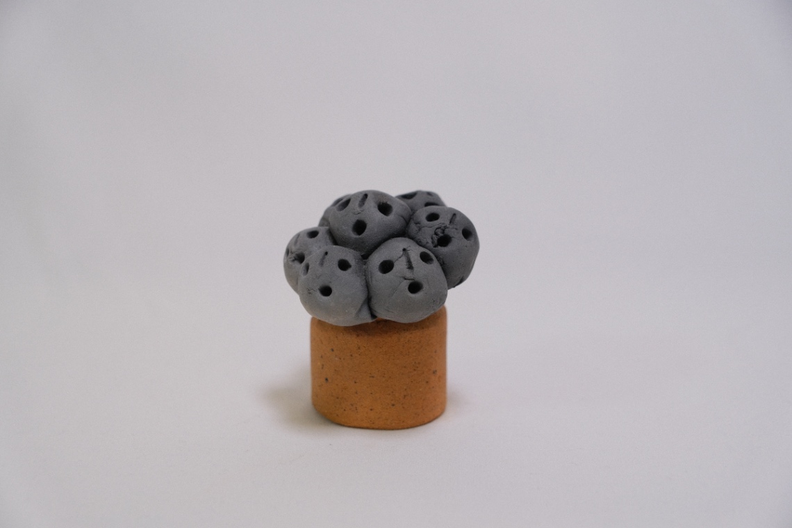 木霊ハニワssp. 多肉体 の画像