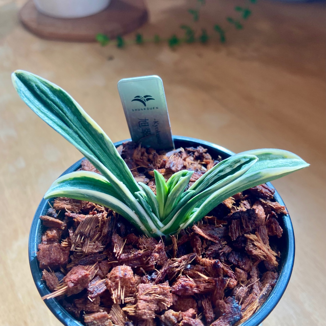 2025年9月 の画像